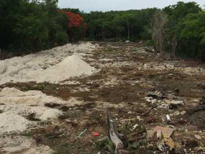 Residential Land For Sale in Negril, Jamaica