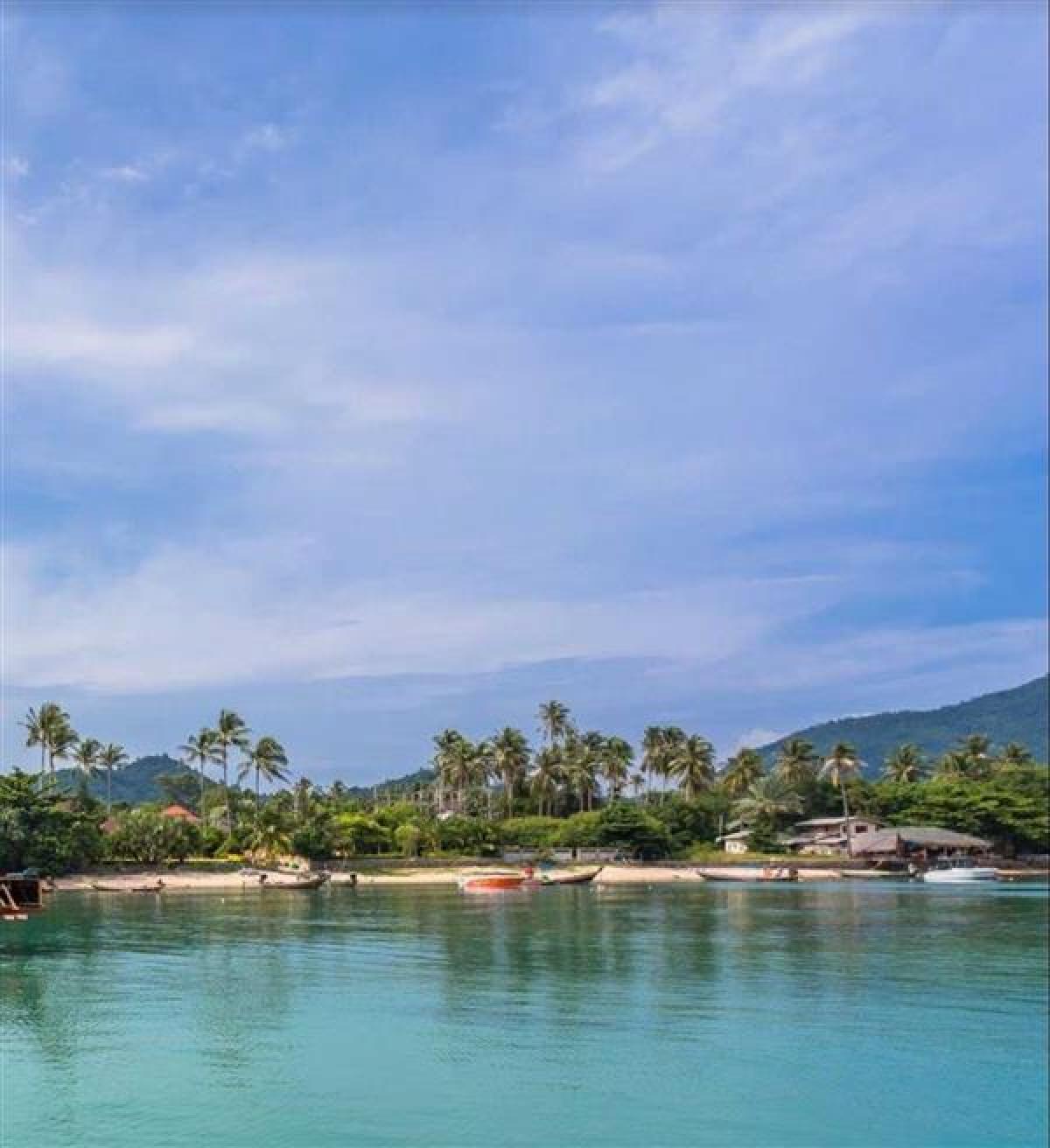 Picture of Residential Land For Sale in Koh Samui, Chumphon, Thailand