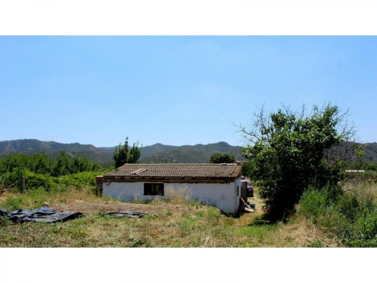 Picture of Home For Sale in Nonaspe, Canary Islands, Spain