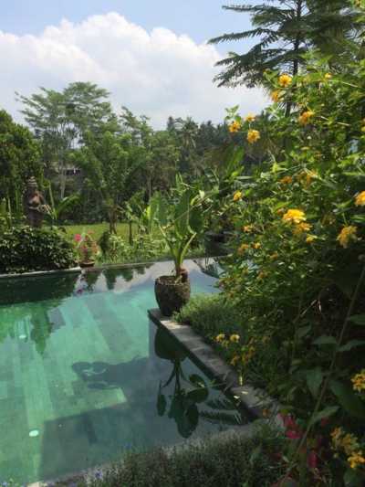 Villa For Sale in Ubud Bali Indonesia, Indonesia