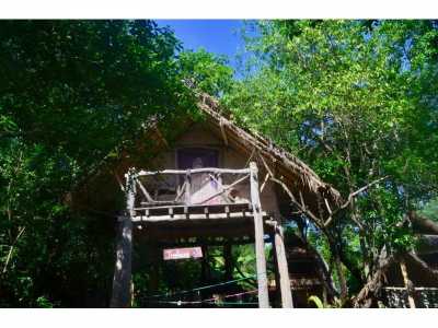 Home For Sale in Lombok, Indonesia