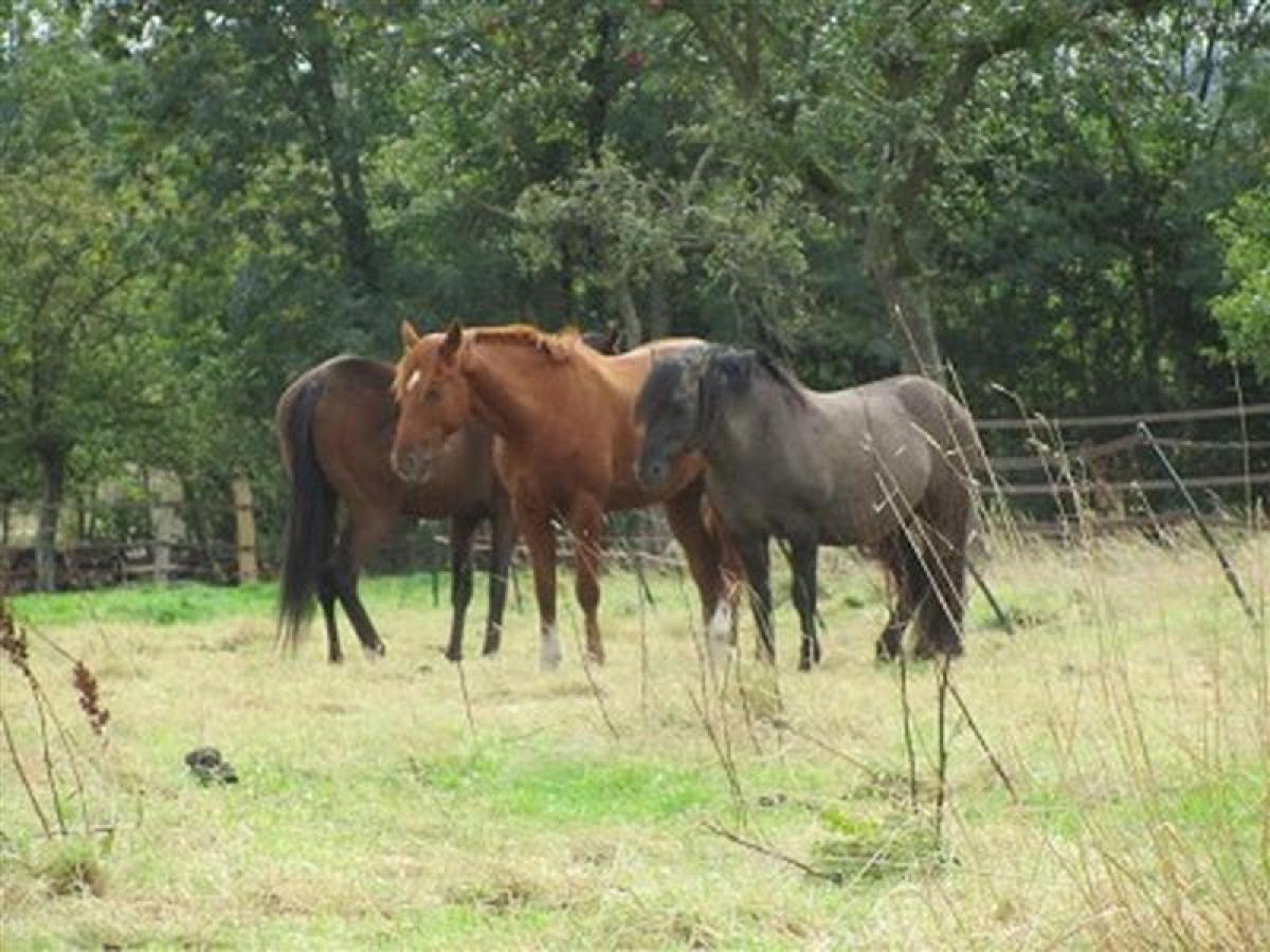 Picture of Home For Sale in Lieurey, Taranto, France