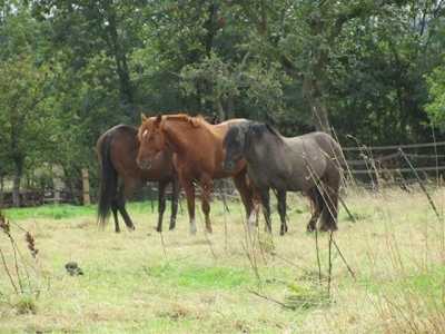 Home For Sale in Lieurey, France