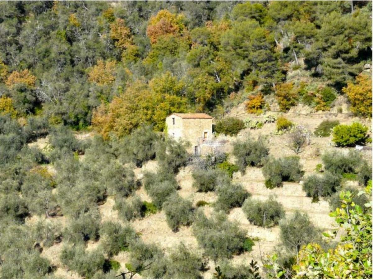 Picture of Home For Sale in Dolceacqua, Liguria, Italy