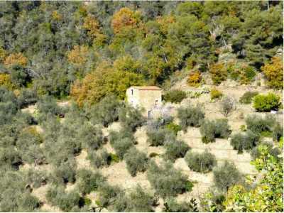 Home For Sale in Dolceacqua, Italy