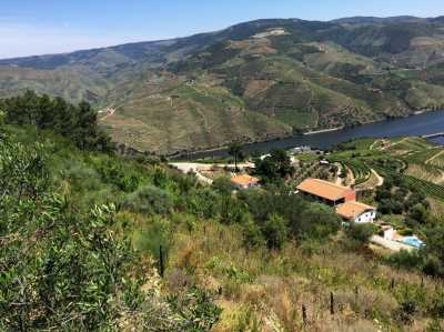 Residential Land For Sale in Armamar, Portugal