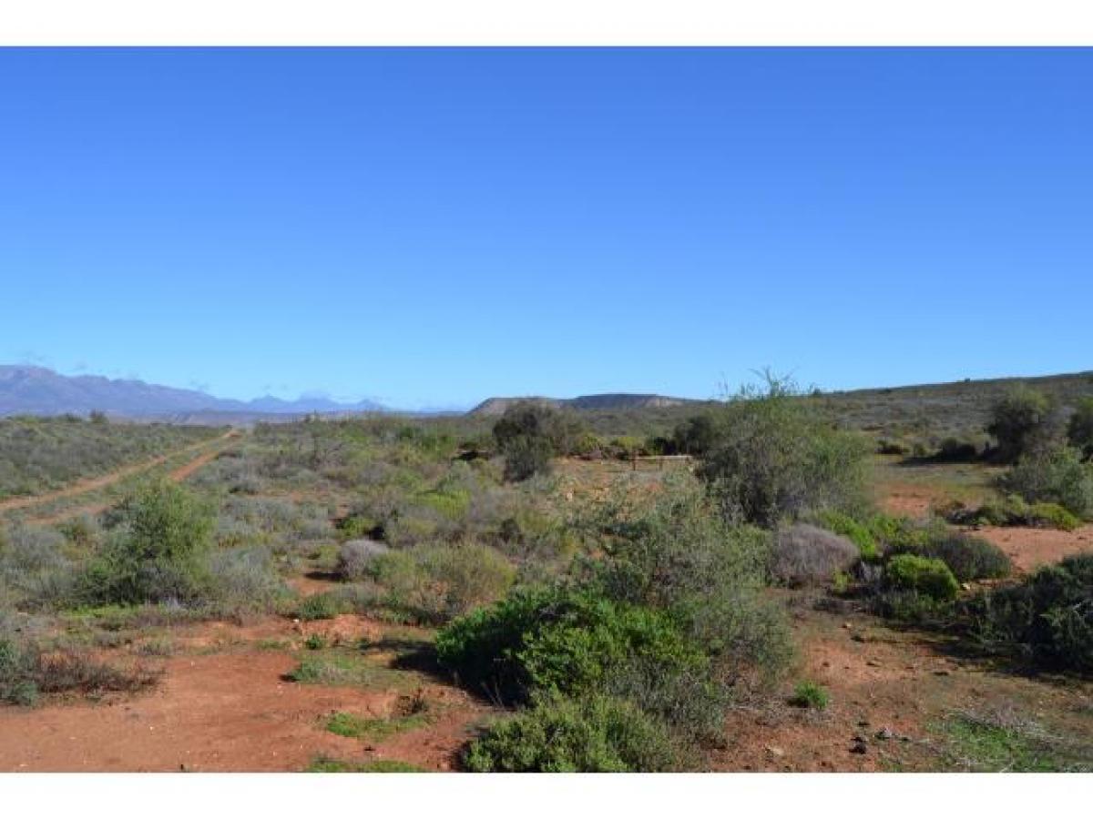 Picture of Farm For Sale in Cape Town, Western Cape, South Africa