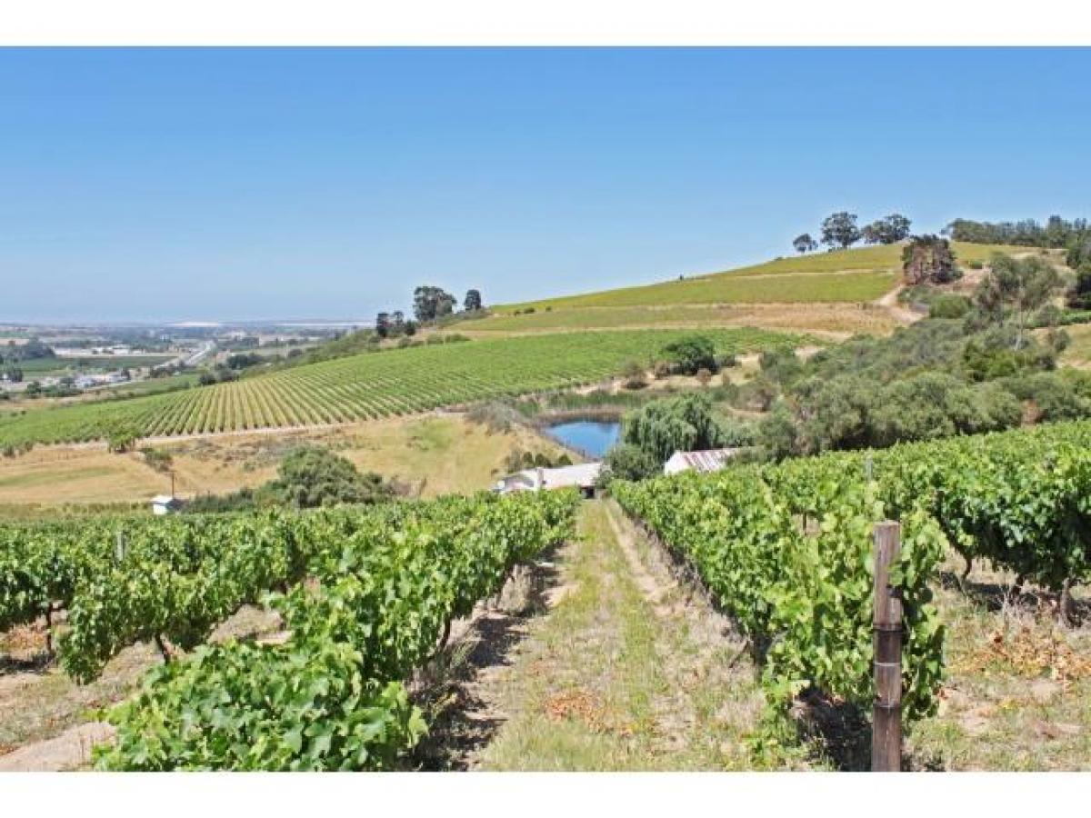 Picture of Commercial Farms For Sale in Cape Town, Western Cape, South Africa