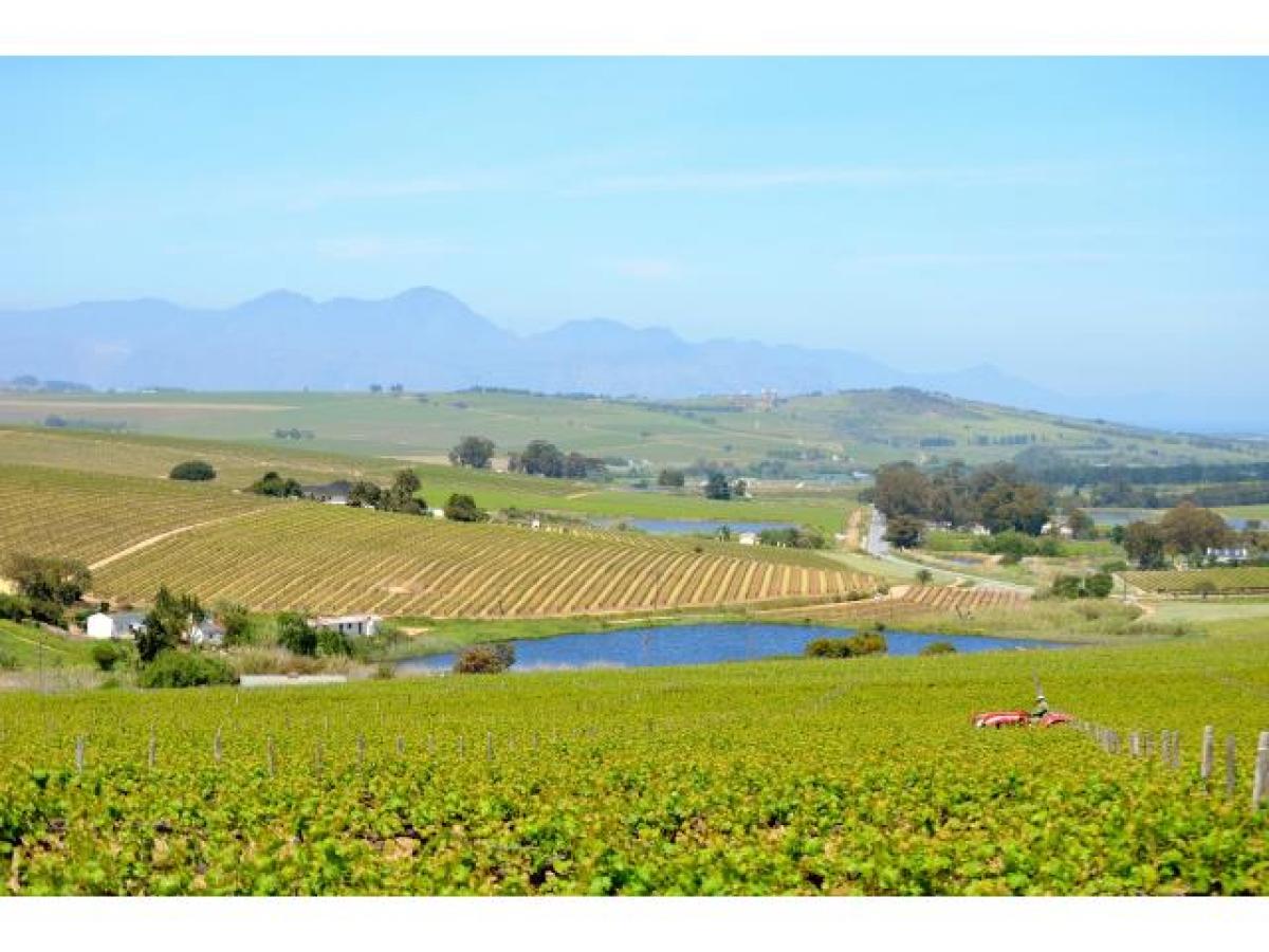 Picture of Farm For Sale in Cape Town, Western Cape, South Africa