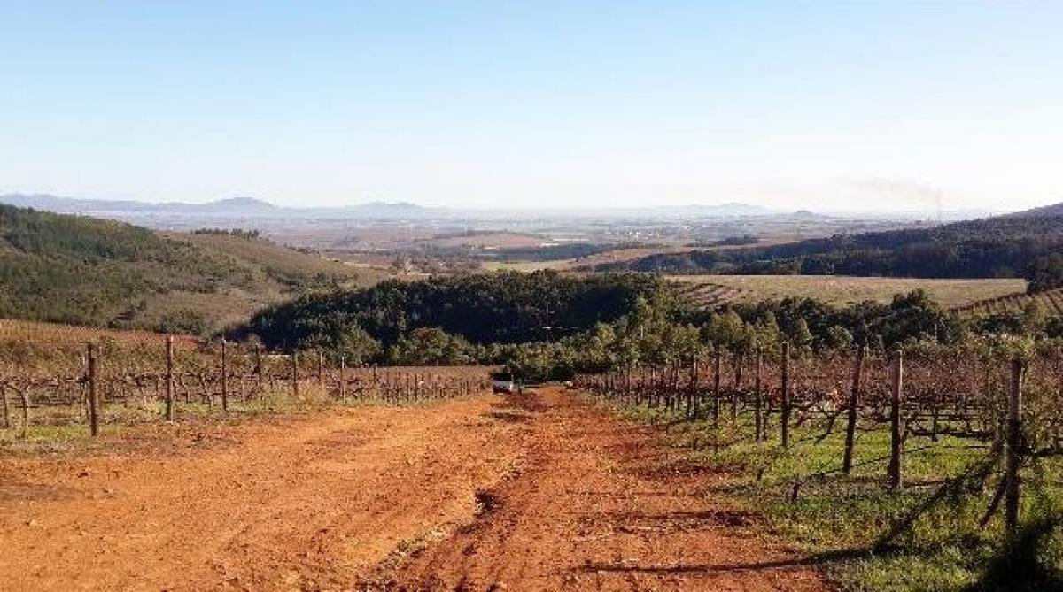 Picture of Farm For Sale in Cape Town, Western Cape, South Africa