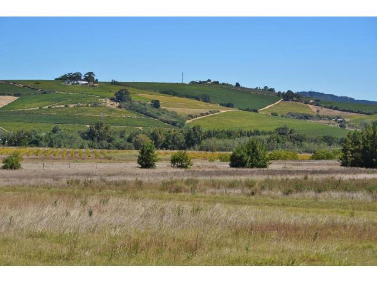 Picture of Farm For Sale in Cape Town, Western Cape, South Africa