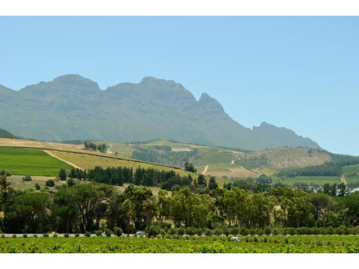 Picture of Commercial Farms For Sale in Cape Town, Western Cape, South Africa