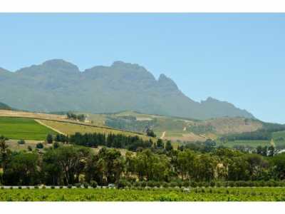 Commercial Farms For Sale in Cape Town, South Africa