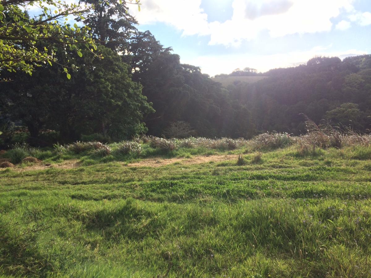 Picture of Residential Land For Sale in Heredia, Heredia, Costa Rica