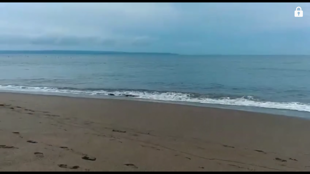 Picture of Commercial Land For Sale in Badung, Bali, Indonesia