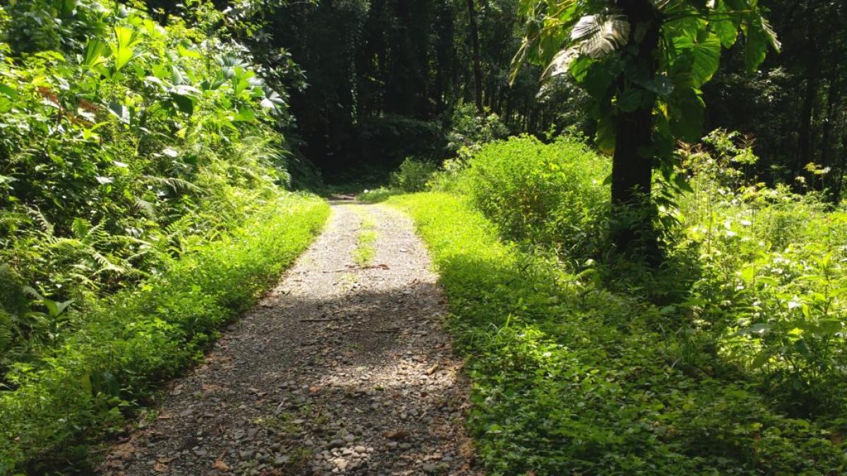 Picture of Home For Rent in Tamarindo, Guanacaste, Costa Rica