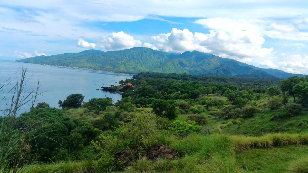 Picture of Residential Land For Sale in Gianyar, Bali, Indonesia