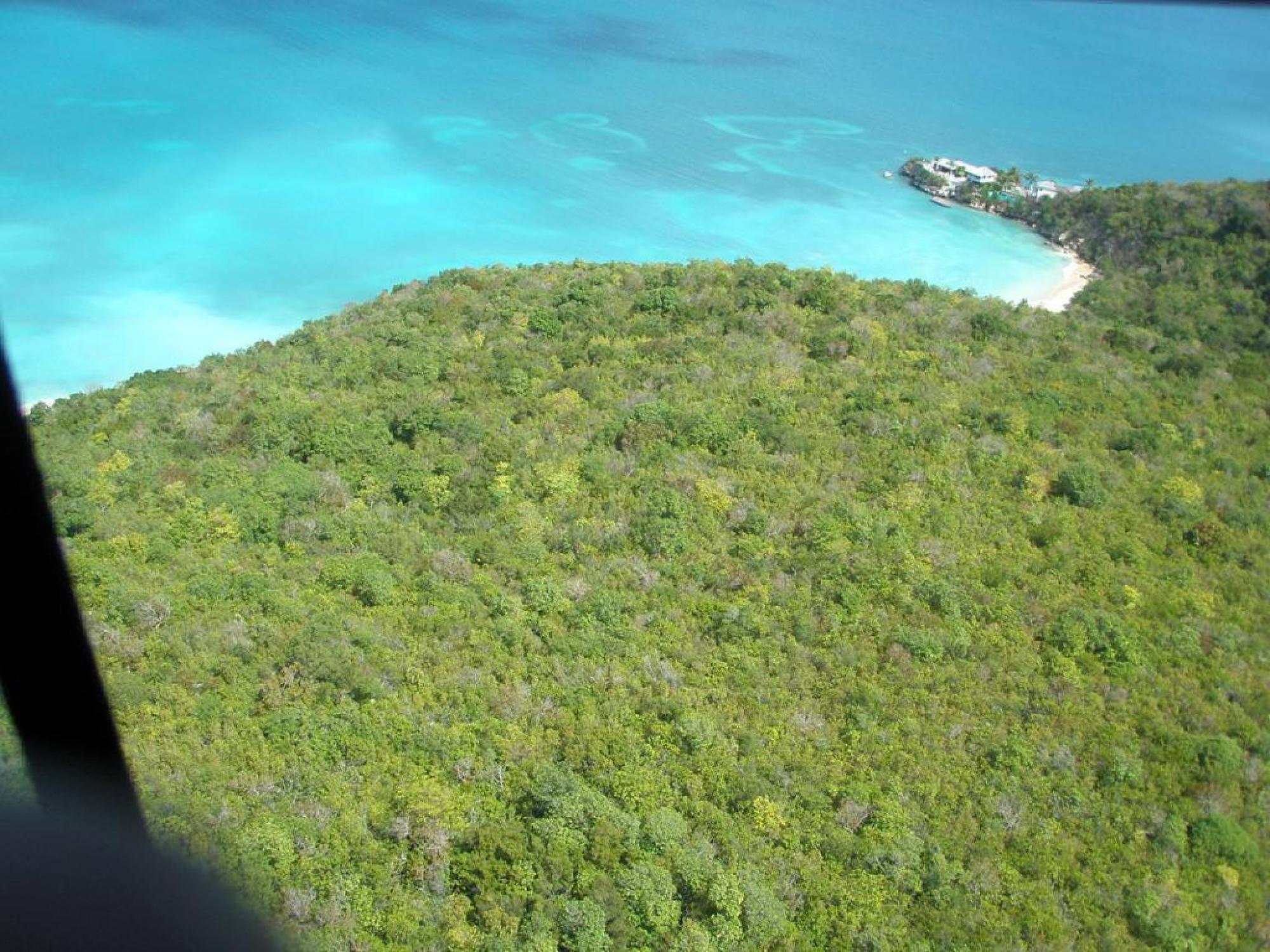 Picture of Raw Land For Auction in Saint John's, Saint John, Antigua and Barbuda