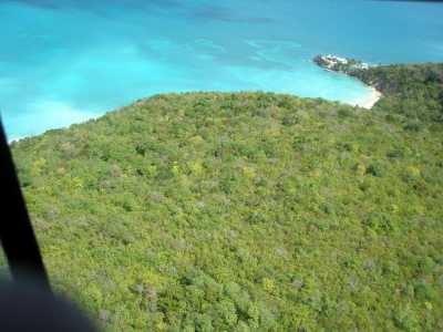 Raw Land For Auction in Saint John's, Antigua and Barbuda