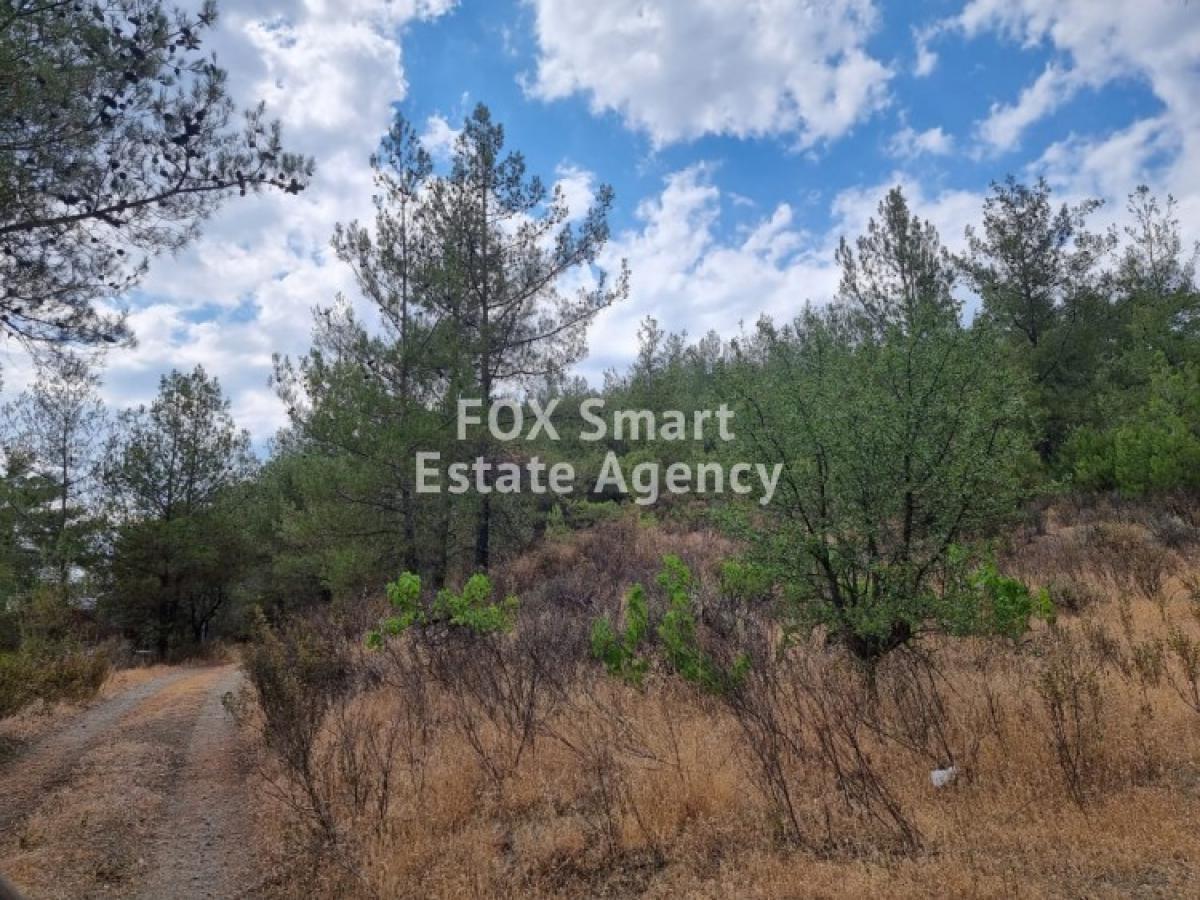 Picture of Residential Land For Sale in Pano Platres, Limassol, Cyprus