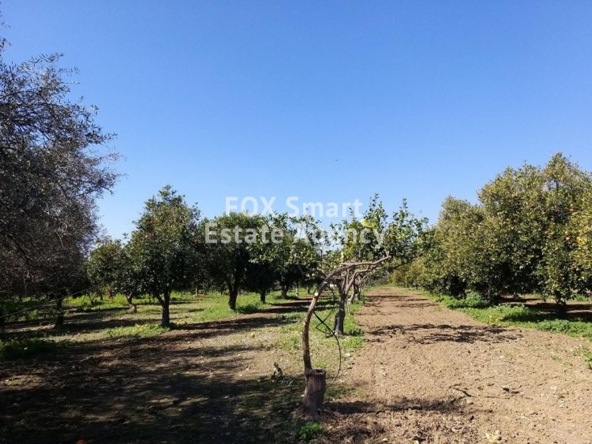 Picture of Residential Land For Sale in Moni, Limassol, Cyprus