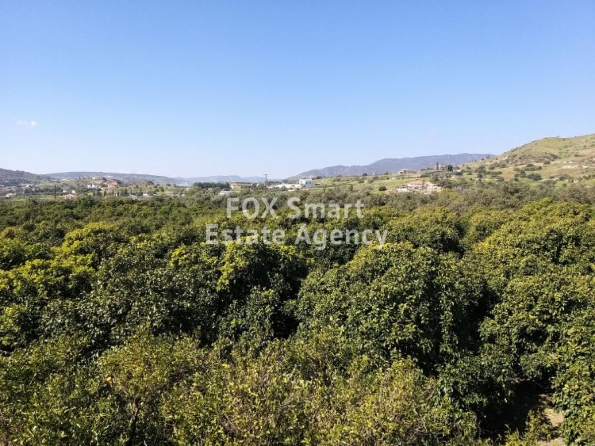 Picture of Residential Land For Sale in Moni, Limassol, Cyprus