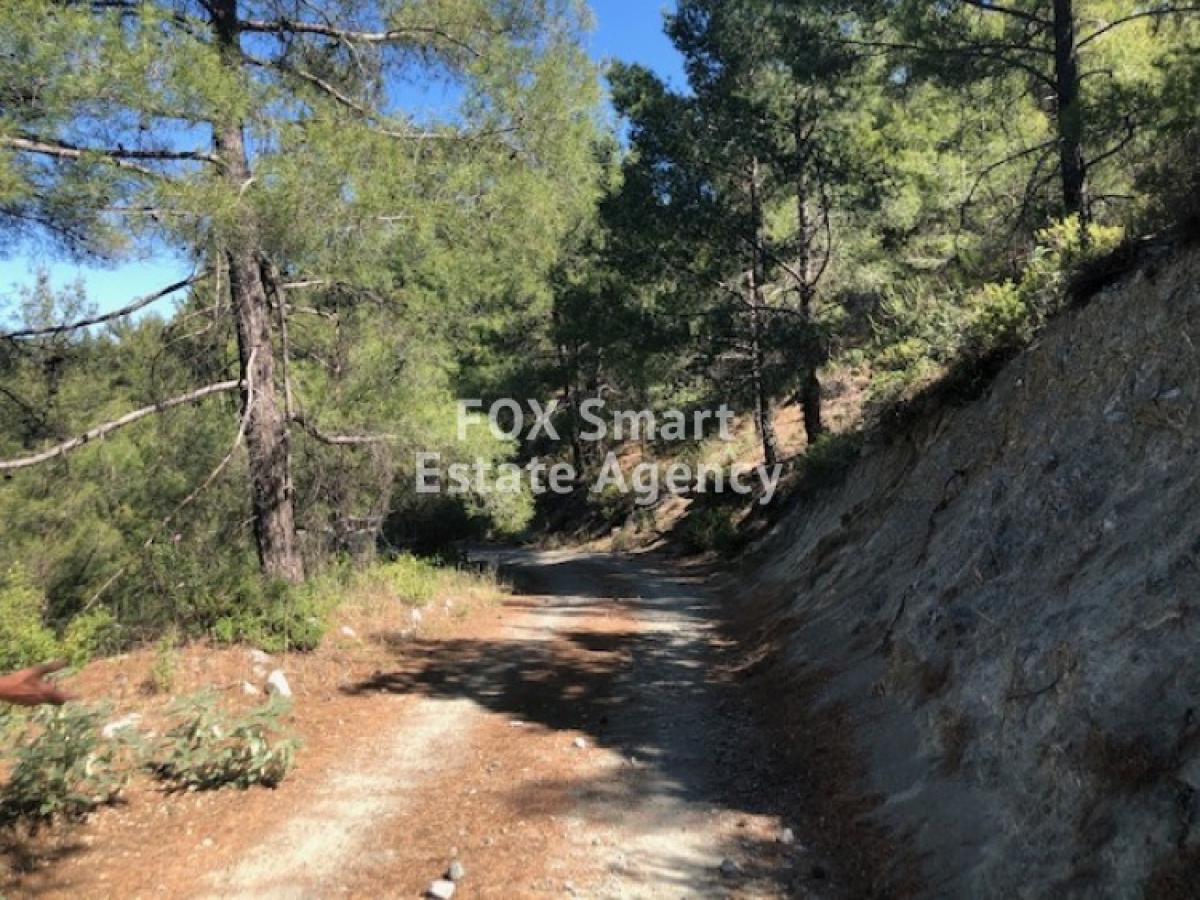 Picture of Residential Land For Sale in Agros, Limassol, Cyprus