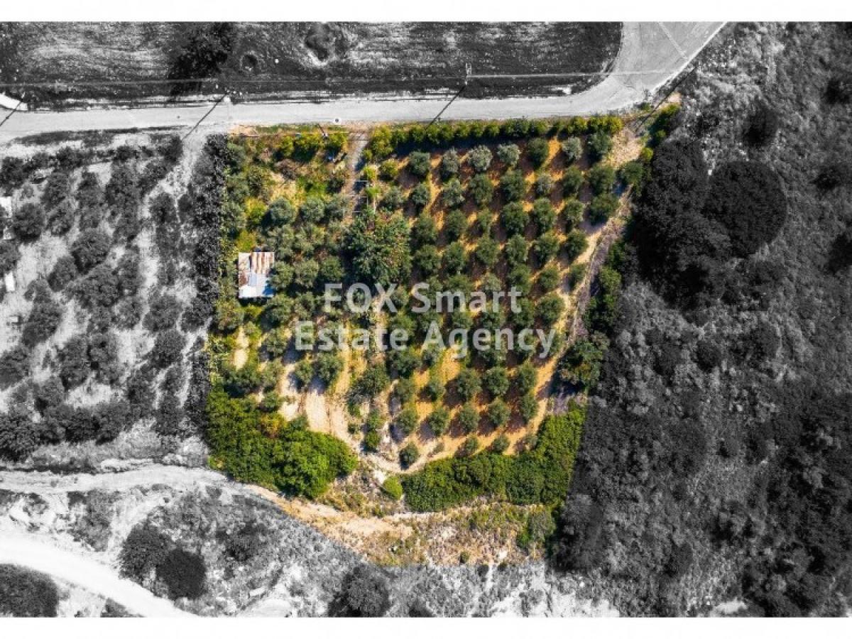 Picture of Residential Land For Sale in Agia Filaxi, Limassol, Cyprus