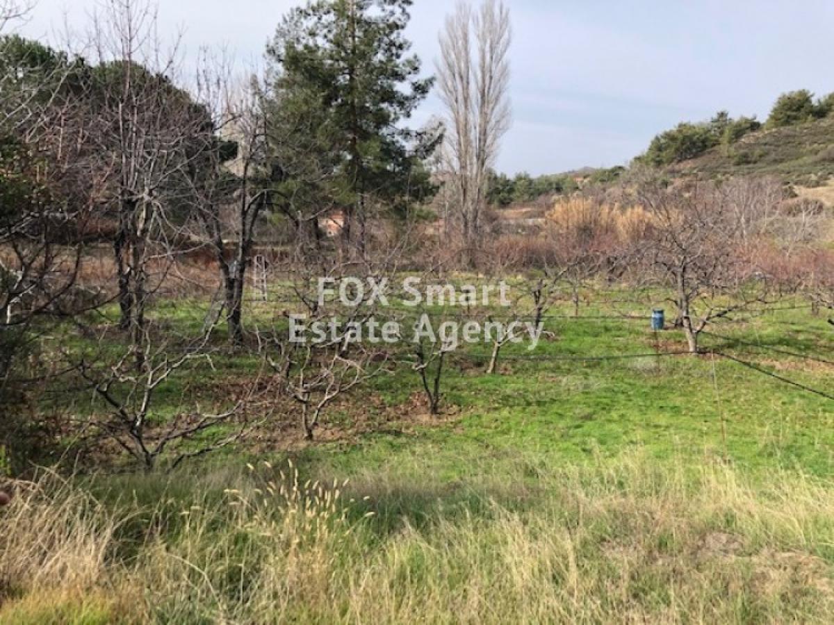 Picture of Residential Land For Sale in Kato Platres, Limassol, Cyprus