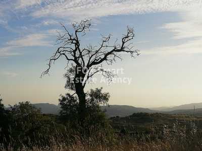 Residential Land For Sale in Vouni, Cyprus