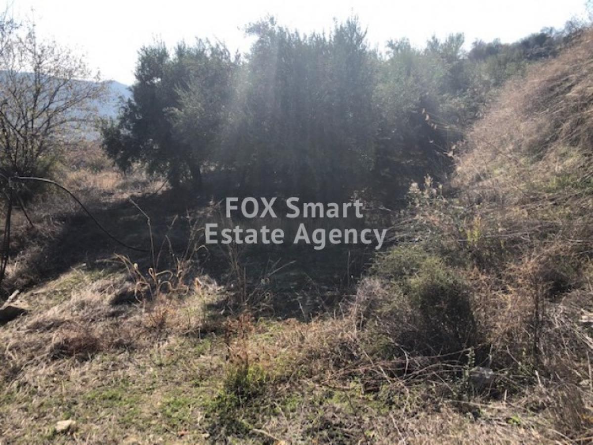 Picture of Residential Land For Sale in Silikou, Limassol, Cyprus