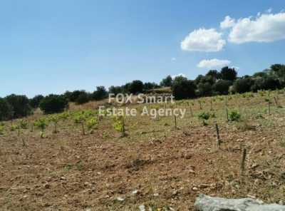 Residential Land For Sale in Pachna, Cyprus