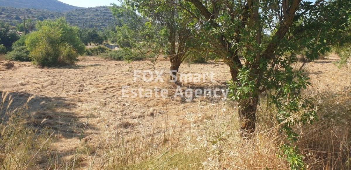 Picture of Residential Land For Sale in Fasoula (Lemesou), Limassol, Cyprus