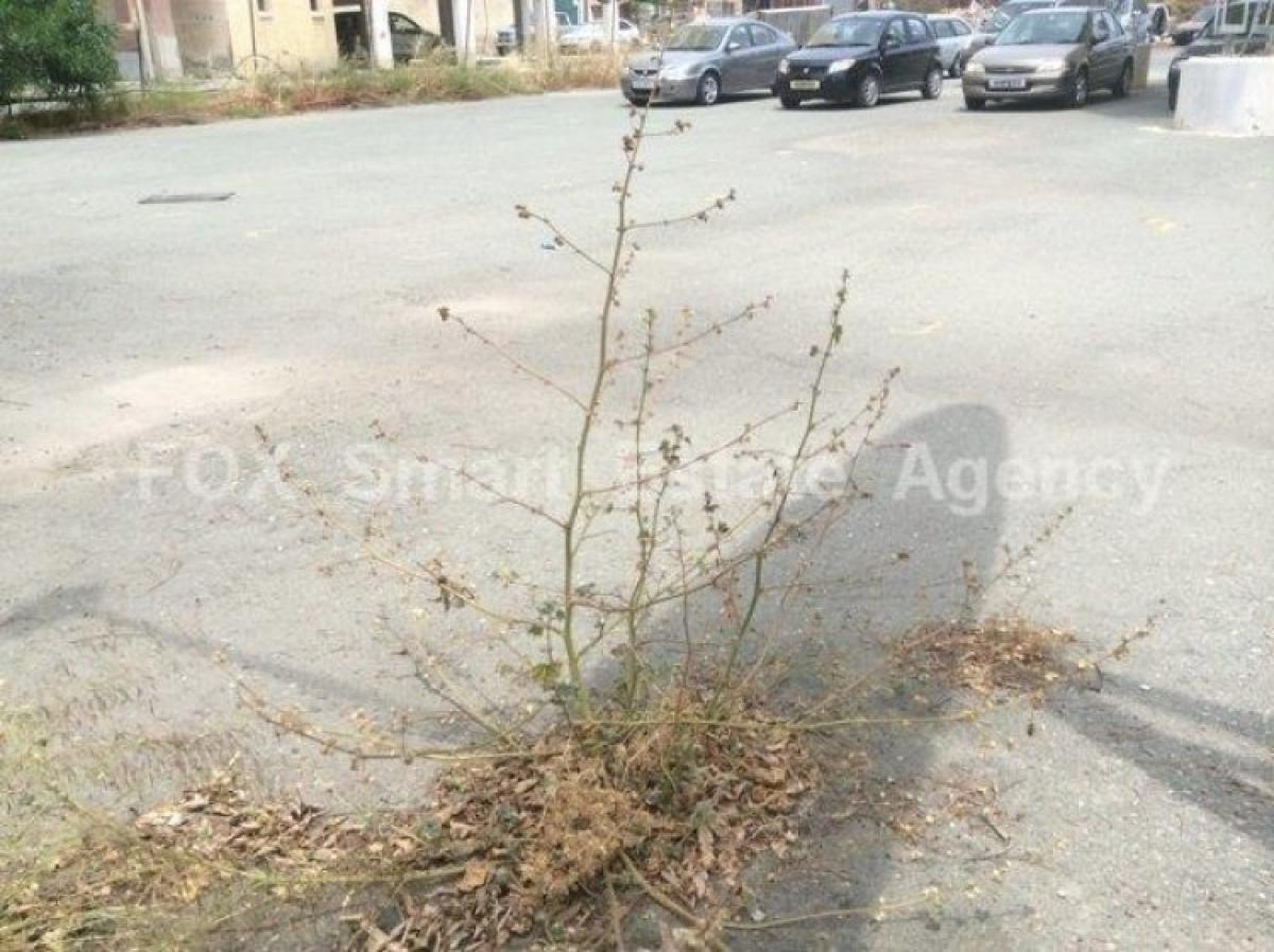 Picture of Residential Land For Sale in Omonoia, Limassol, Cyprus