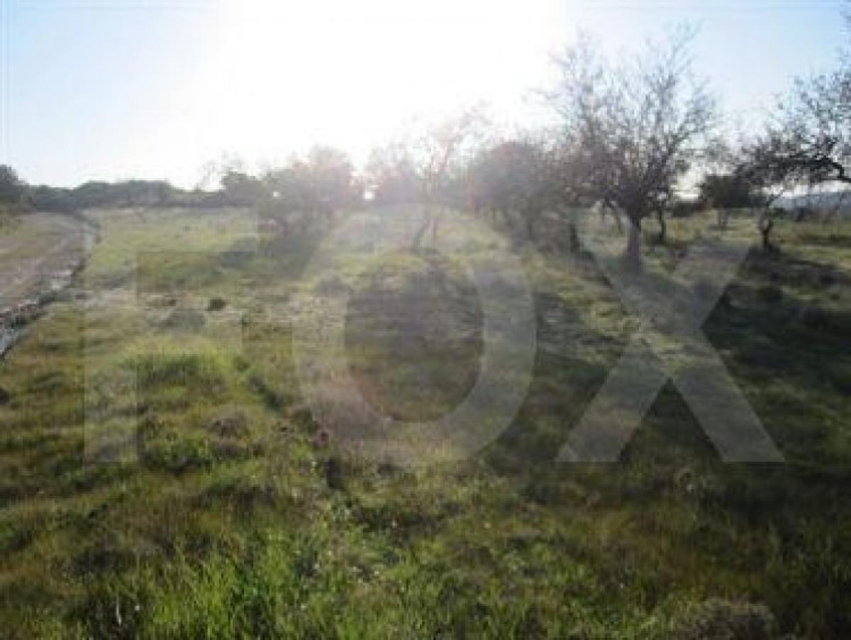 Picture of Residential Land For Sale in Apsiou, Limassol, Cyprus