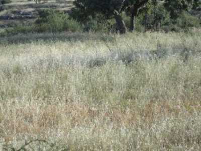Residential Land For Sale in Pachna, Cyprus