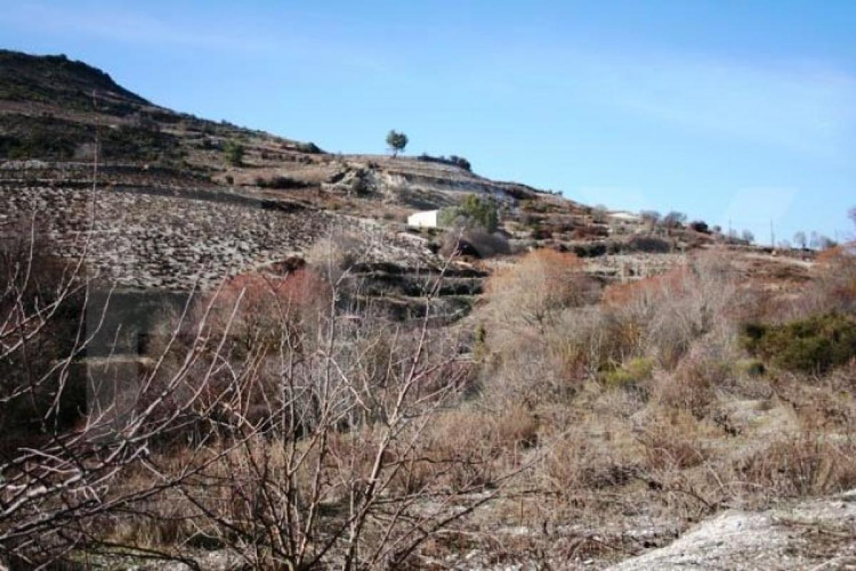 Picture of Residential Land For Sale in Omodos, Limassol, Cyprus