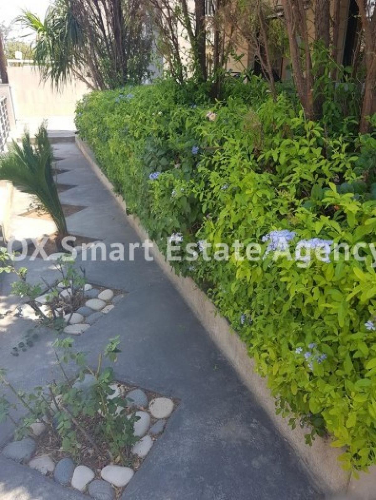 Picture of Home For Rent in Agios Nektarios, Limassol, Cyprus