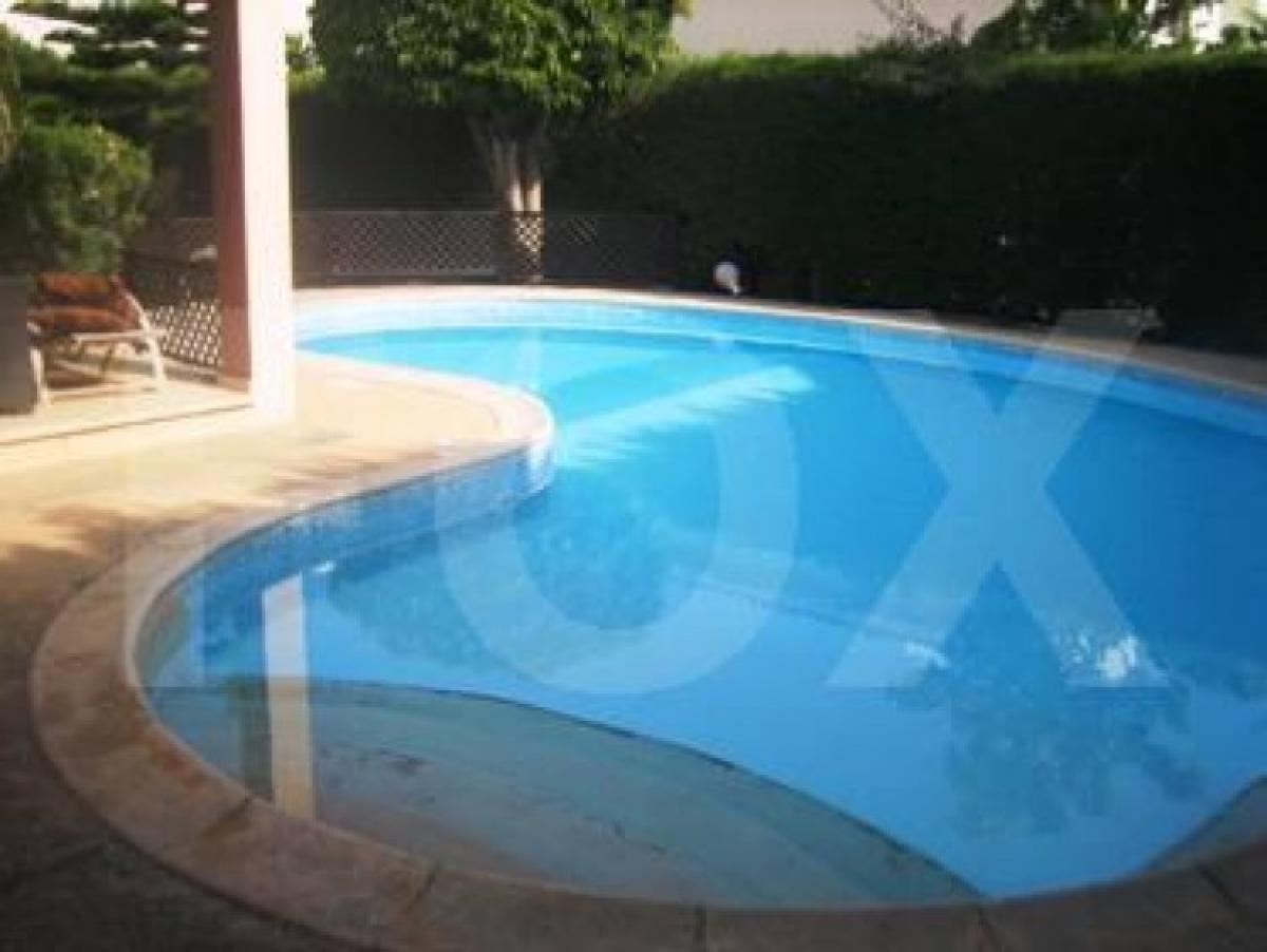 Picture of Home For Rent in Amathounta, Limassol, Cyprus