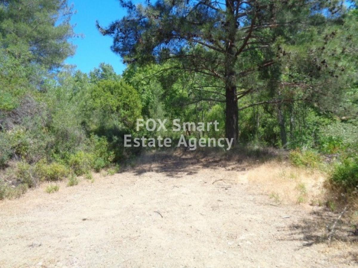 Picture of Residential Land For Sale in Kato Platres, Limassol, Cyprus