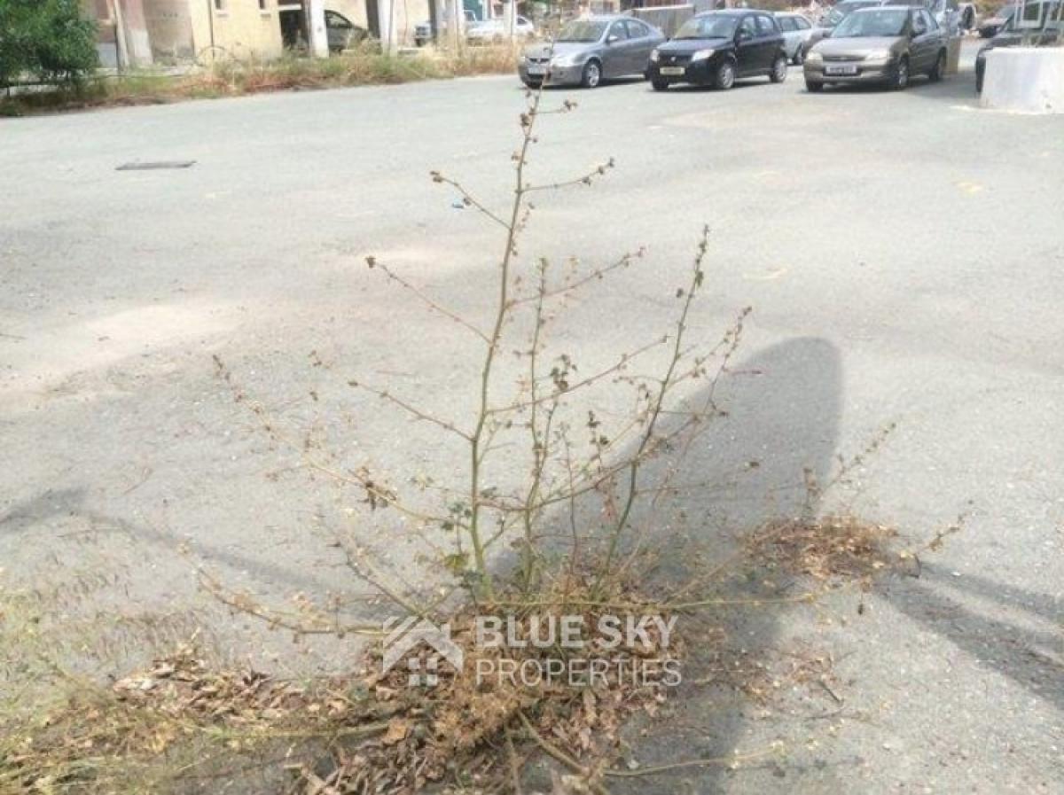 Picture of Home For Sale in Omonoia, Limassol, Cyprus