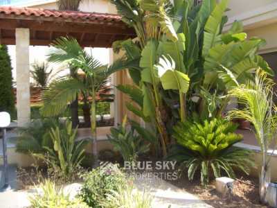 Home For Sale in Agia Paraskevi, Cyprus