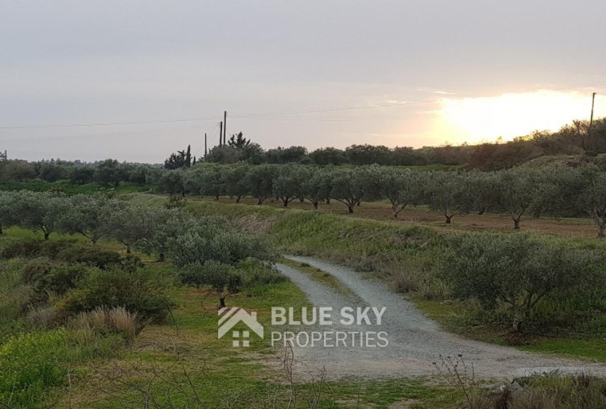 Picture of Residential Land For Sale in Monagroulli, Limassol, Cyprus
