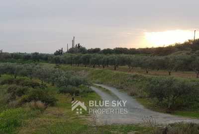 Residential Land For Sale in Monagroulli, Cyprus