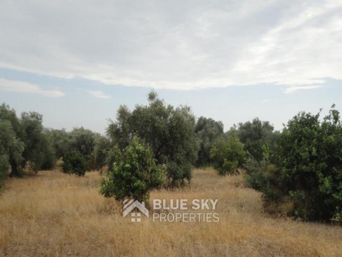 Picture of Home For Sale in Agios Loukas, Limassol, Cyprus