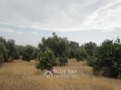 Home For Sale in Agios Loukas, Cyprus