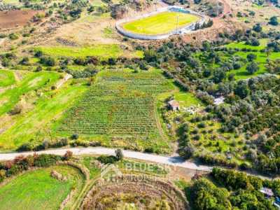 Home For Sale in Pyrgos Lemesou, Cyprus