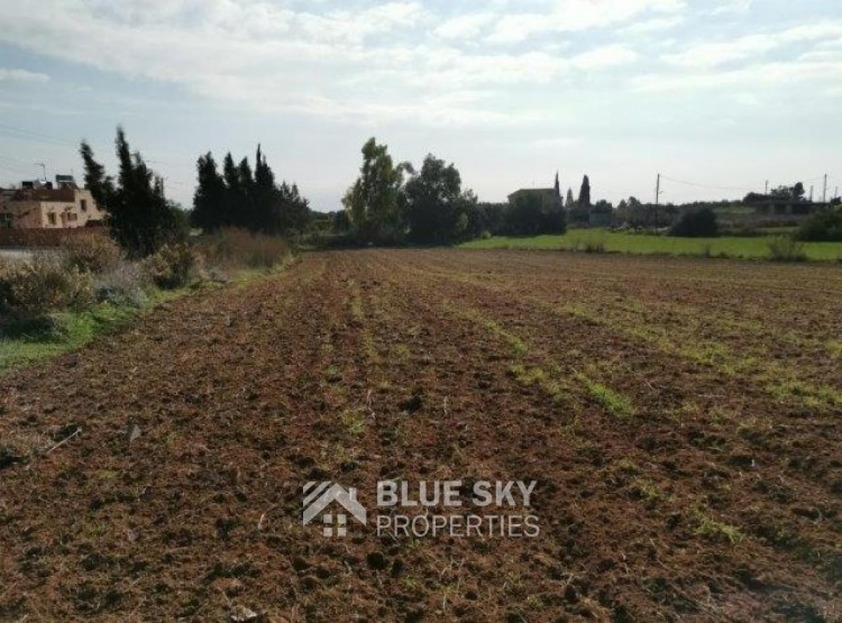 Picture of Home For Sale in Kolossi, Limassol, Cyprus