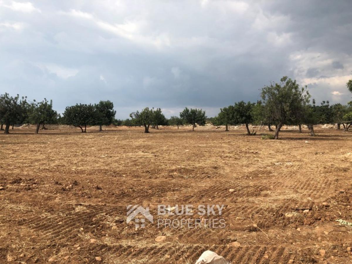 Picture of Home For Sale in Kato Polemidia, Limassol, Cyprus