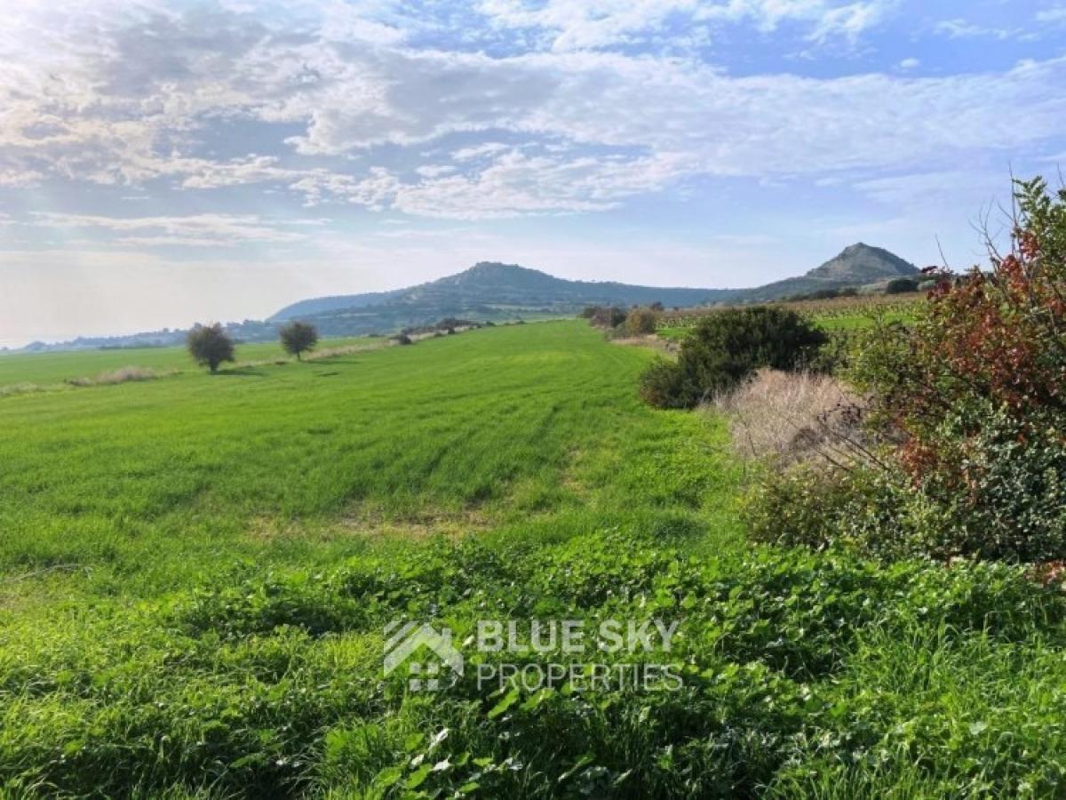 Picture of Residential Land For Sale in Pissouri, Limassol, Cyprus